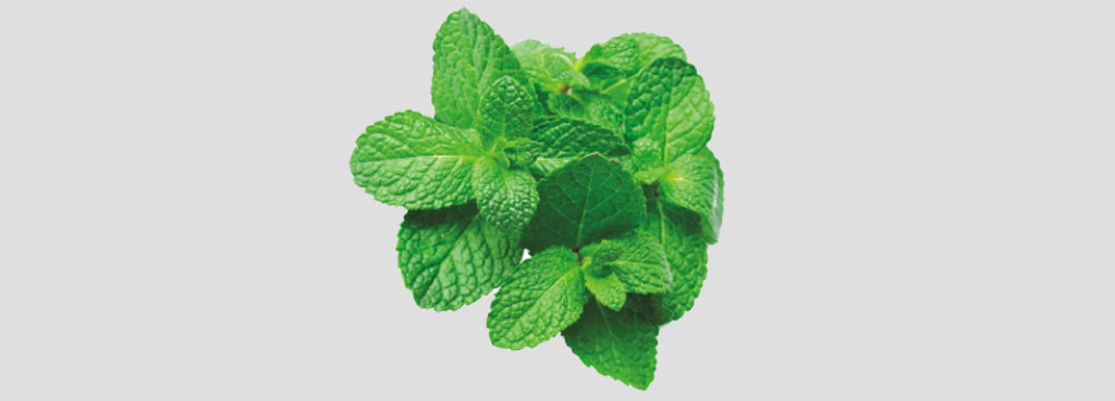 mint-leaves-benefits-of-mint-leaves-for-health