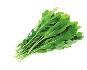 Read more about the article Learn How to Cook & Grow Rocket Leaves (or arugula) at Home.