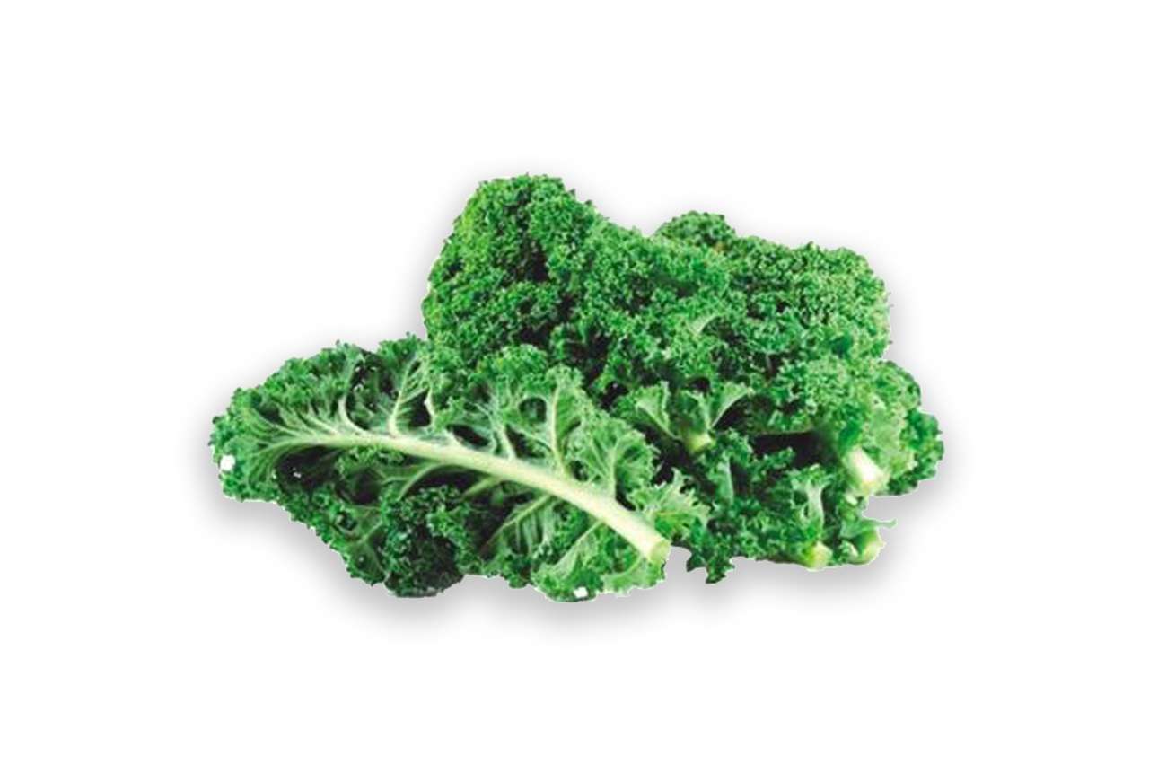 You are currently viewing All About Curled kale Benefits, Recipes, And Full Details